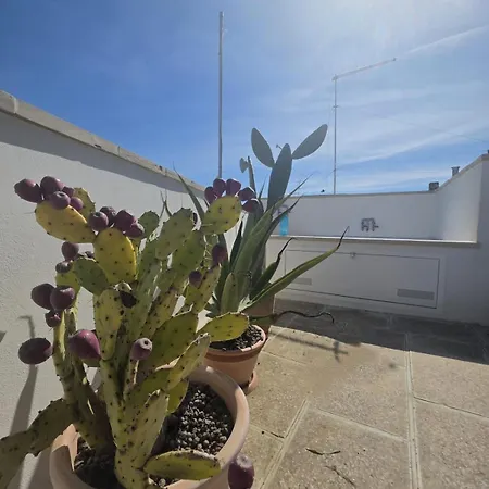 Fico Salentino Apartment