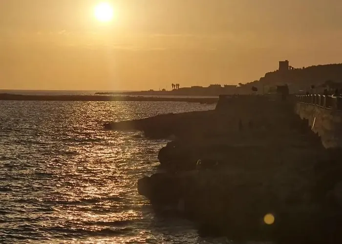 Fico Salentino Nardo