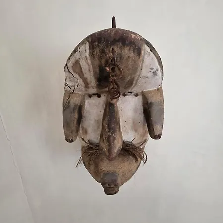 Fico Salentino *