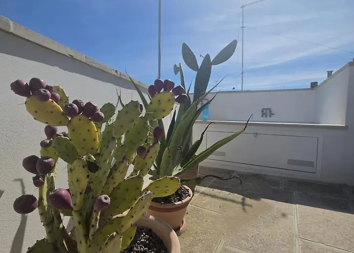 Fico Salentino 아파트